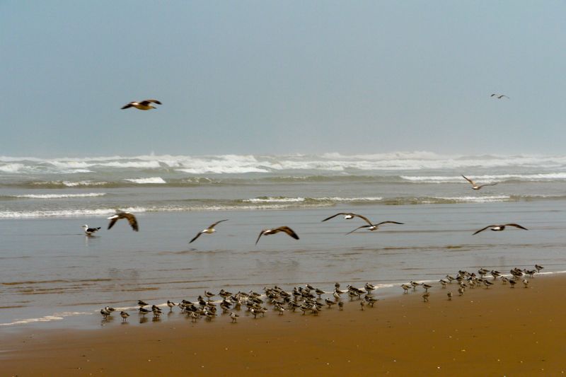 Morocco